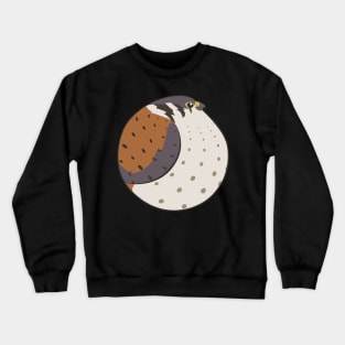 Bird Balls - Peregrine Falcon Crewneck Sweatshirt